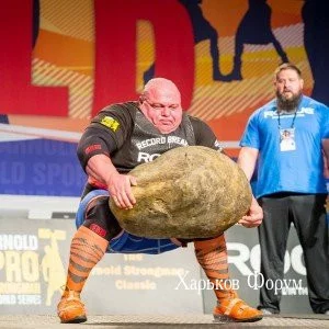 c055d3540d47bc1b.webp