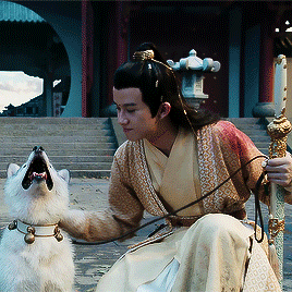 c05e408158b36a164d90ac5ef9445ef1b2562c98.gif