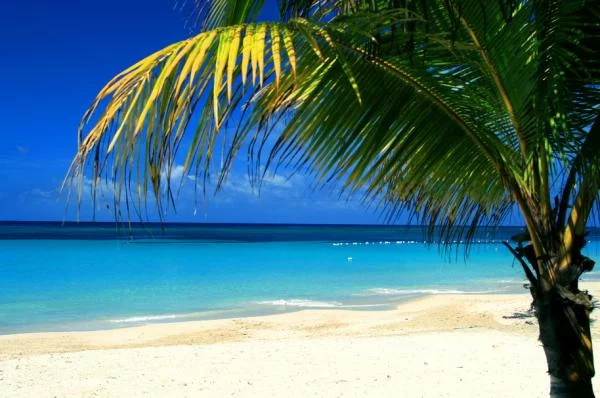 c05eb2f771.webp