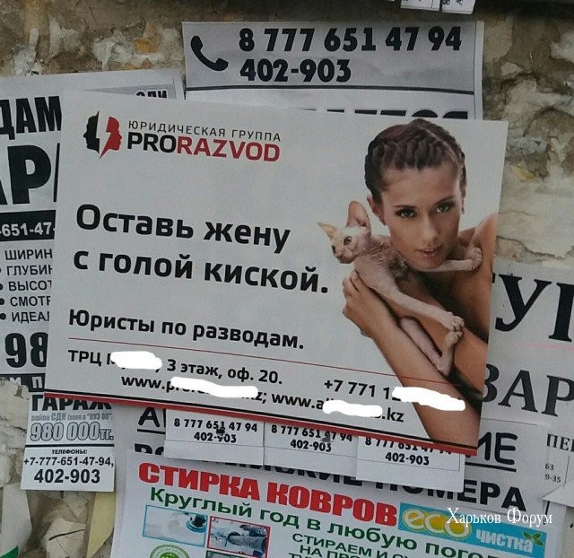 c062d3914913385e2330bf3.jpg