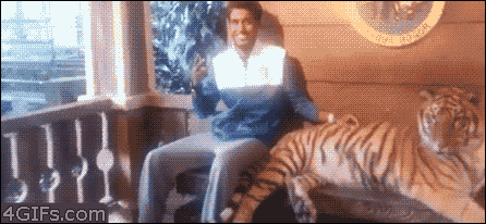 c0711a488f99bd940a2.gif