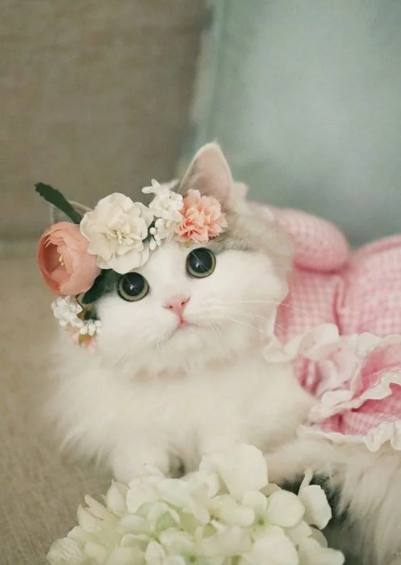 c07e7b7134e44f3b7567f4ba29ad2310.webp
