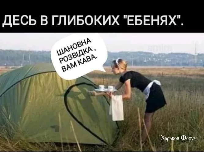 c0868b0efda3336c50640b7d.webp