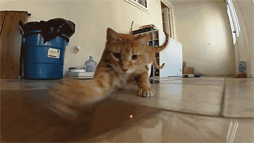c08b7cb5f110e561e.gif