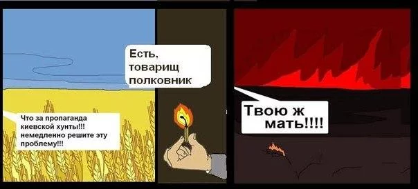 C08YCu3NQTM.webp