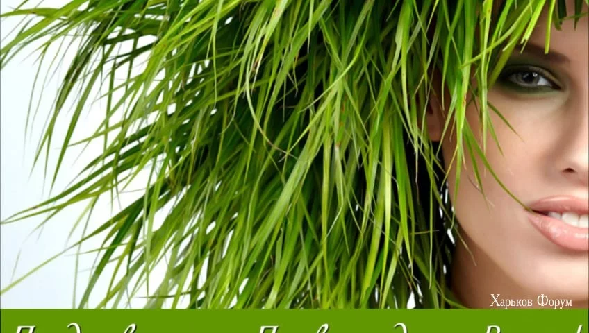 c0acc690e8285a2d2c01c07.webp