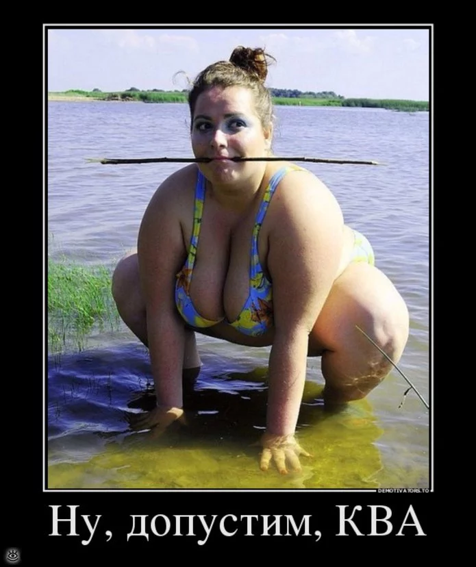 c0bdfg.webp