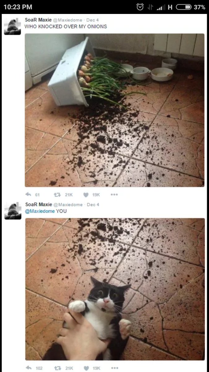C0bl8IqUUAAebZo.jpg