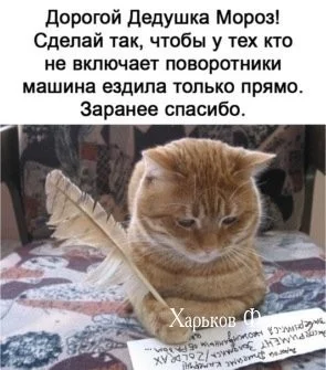 c0c038a22854ffac.webp