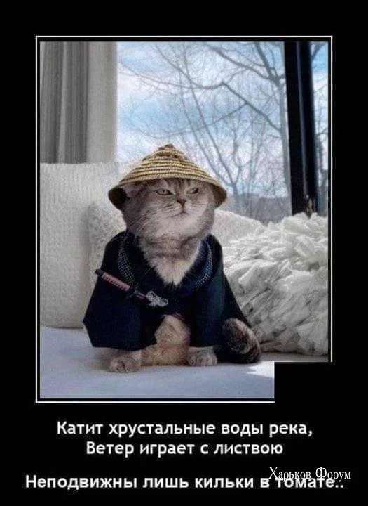 c0c42c669f96ddede93c.webp