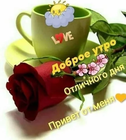 c0c8083a18a433efdb69.webp