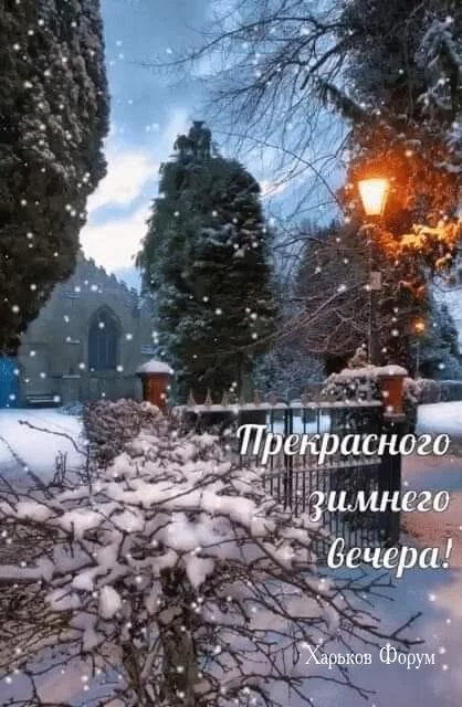 c0d8c7ae787679a9686c9.webp