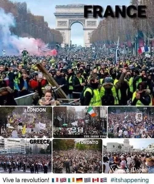 c0ee1c02332fb258810594e9.webp