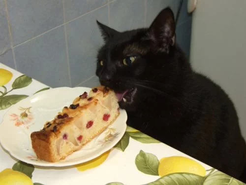 C0THDLjXUAAOWNb.webp