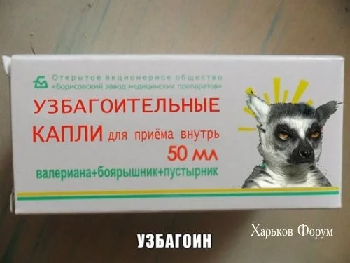 c108377509d63a373fe0.webp