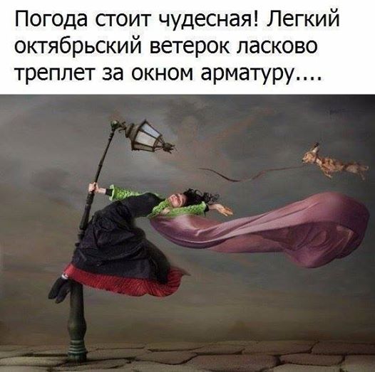 c10e2bdf403ba6d3f1e106899e99d0c7.jpg