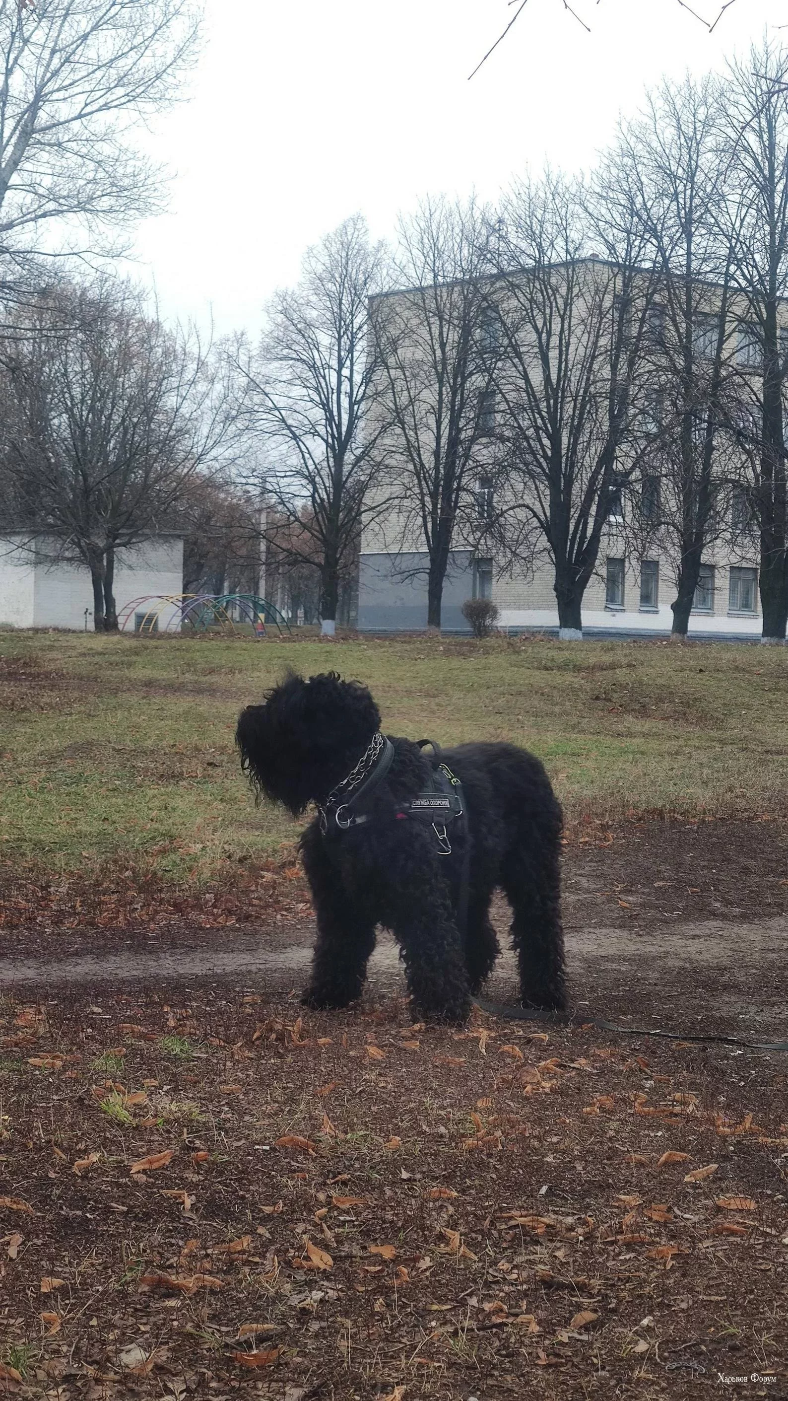 c11089ef50865b748.webp