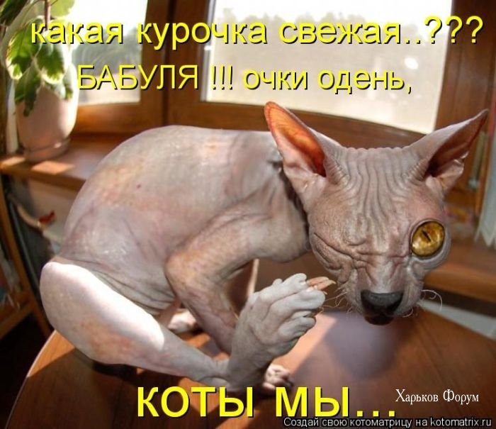 c124fa405661a63d6e828b1c.jpg
