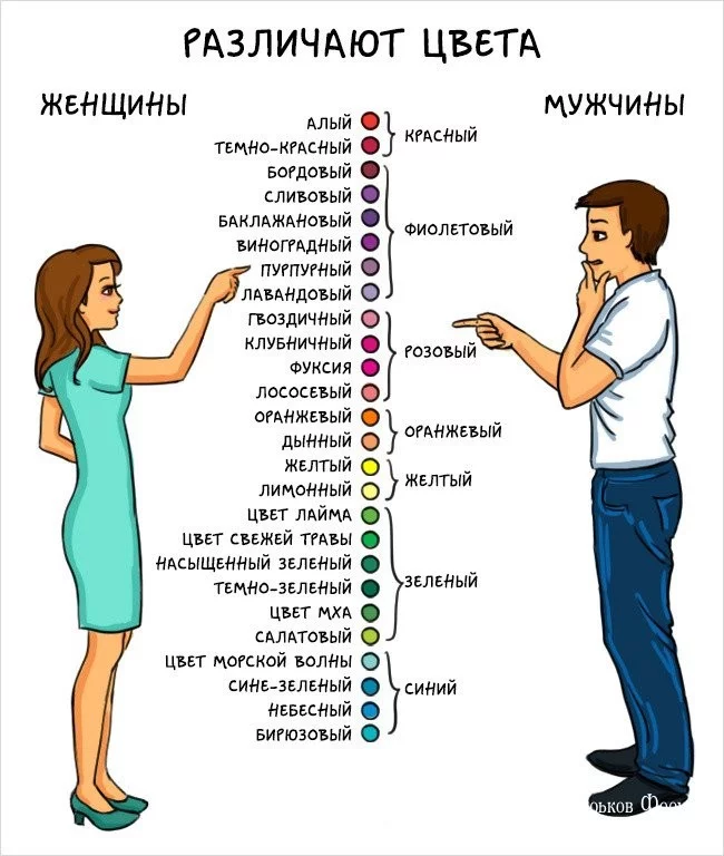 c13363c5e2cc701e.webp