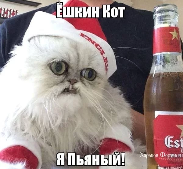 c137ce9f776c0ecae5.webp