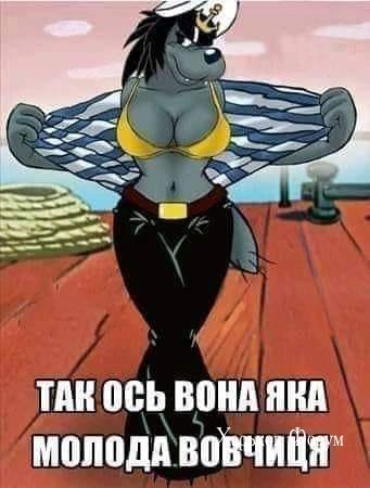 c138a72f74462e4a4a24f13.jpg