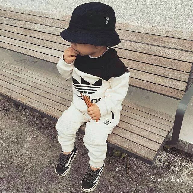 c13d66650cb4abe9d957f130.webp