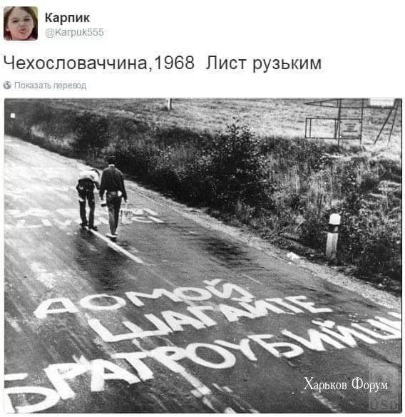 c14513f8b9b38aef3a.webp