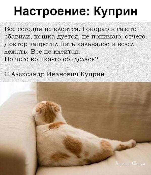 c15321178d3b0f5b8e5.jpg
