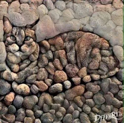 C15_sckWgAAKfUV.webp