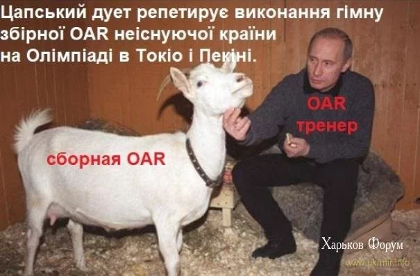 c15c95f518b5ad08f621601.webp