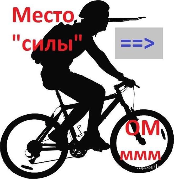 c15d0574966fb1ad556d7.jpg
