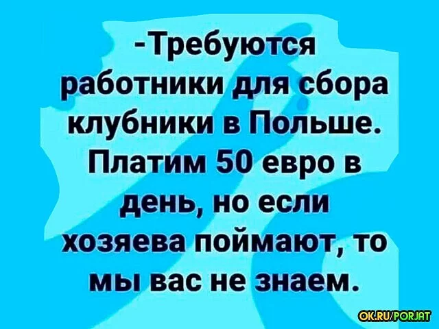 c17260f9.webp