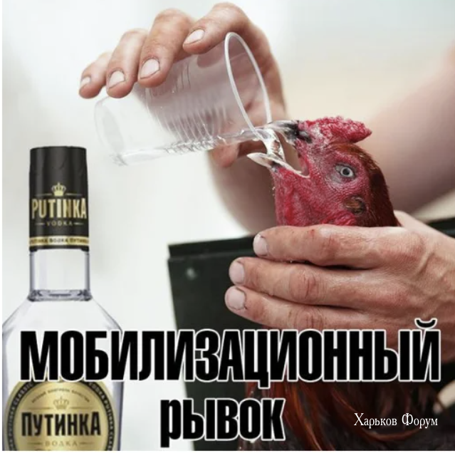 c17e838cdd167131.png