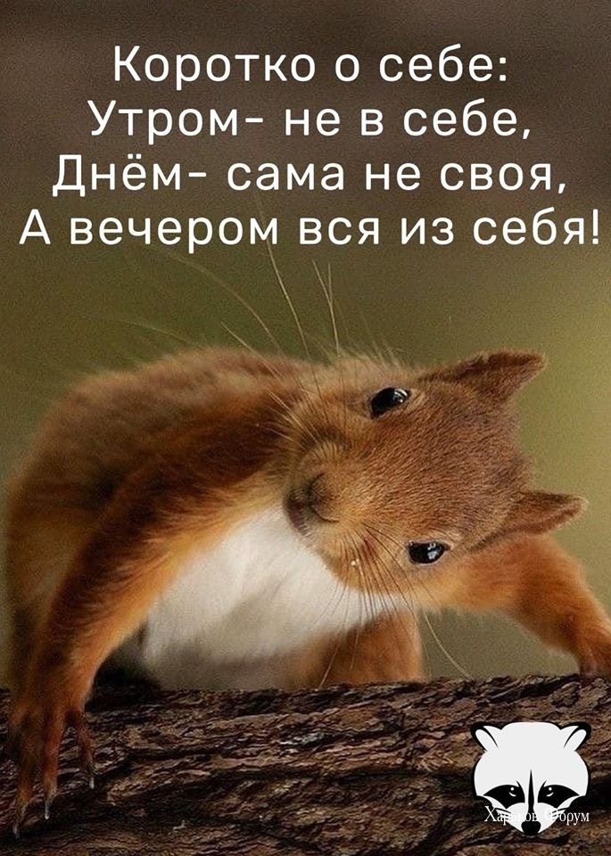 c1abe5e0b5dc9bcfeae455ee.jpg