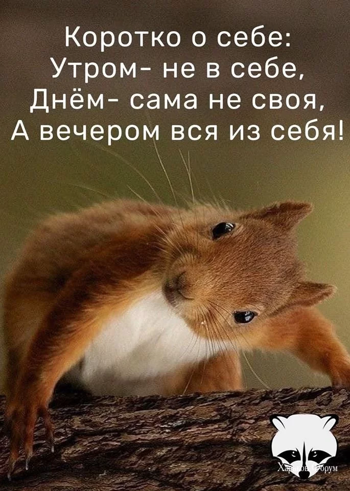 c1abe5e0b5dc9bcfeae455ee.webp