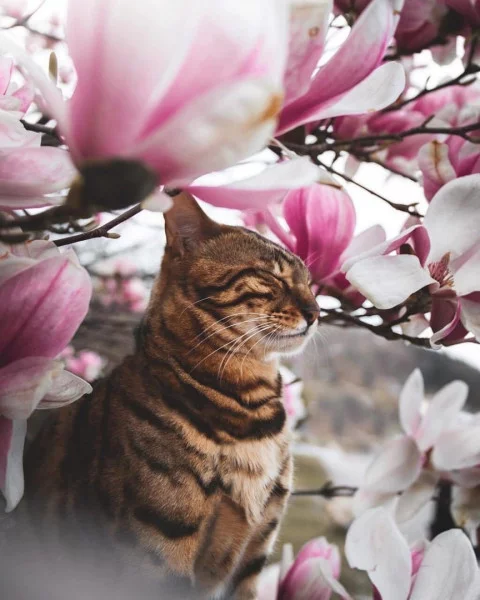 c1b29852e7eb45d548a96700a1596239.webp