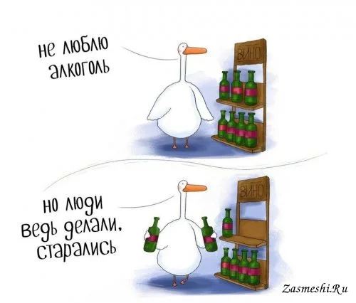 c1bjbh.webp