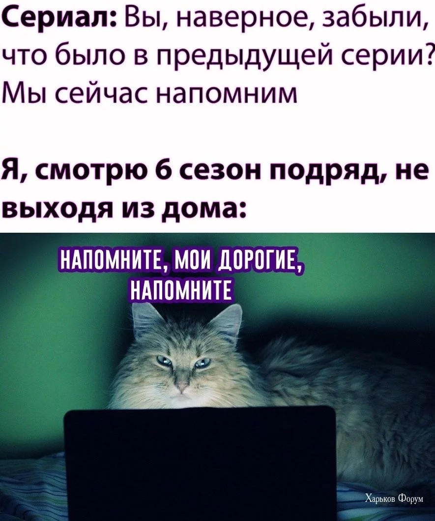 c1eea2fdf066e4817f555f2.webp
