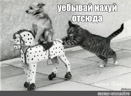 c1f8bd45a78364d60d68c012.webp