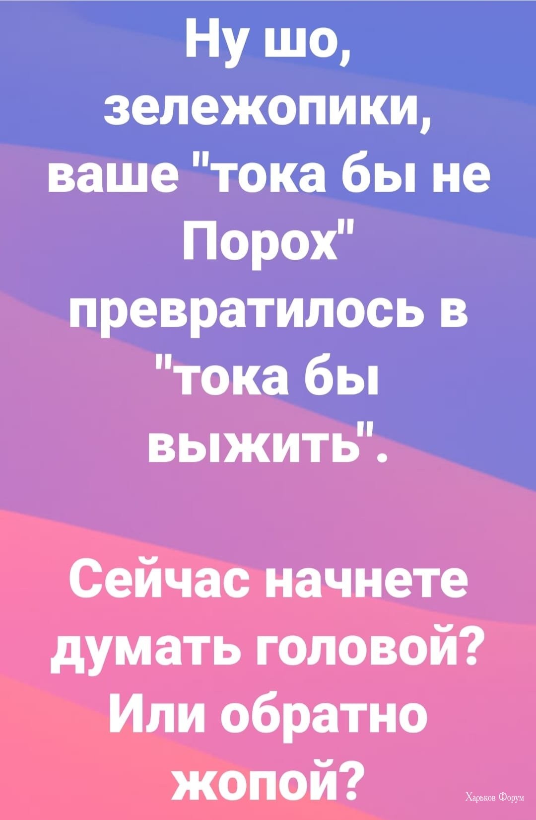 c1fd05743dfae3d752149540.jpg