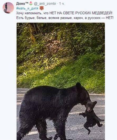 c1ffej.jpg