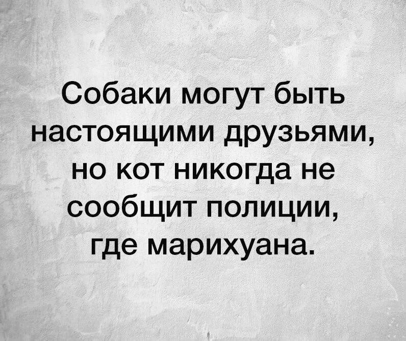 c1fghb.webp