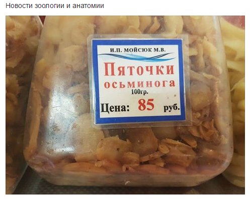 C1lc4hoWQAEaYhu.jpg