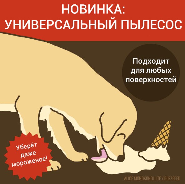 C1lcicLWQAAIRU-.jpg