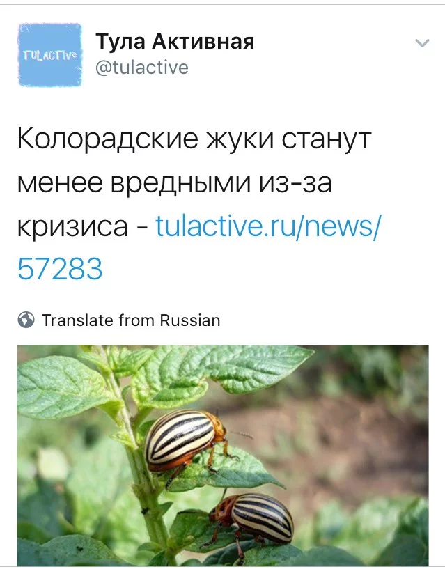C1XCDWSWIAA22Ml.webp