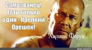 c22698a9d135e416a3032.webp
