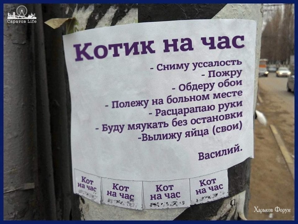 c22df17150884ecacf7.jpg