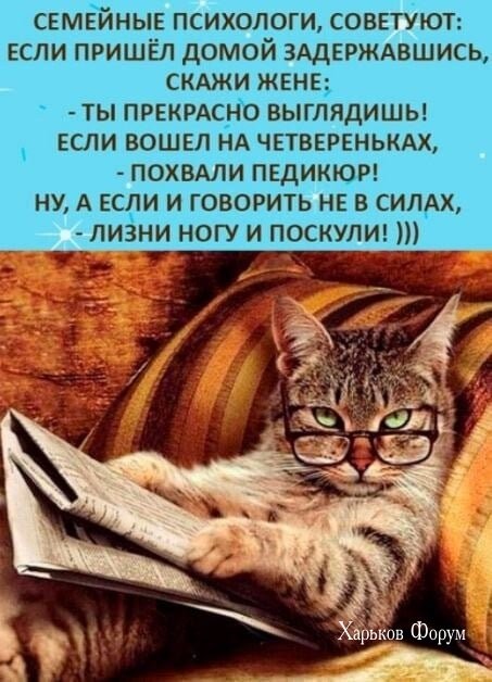 c22e053b6c8c04b6a1.jpg