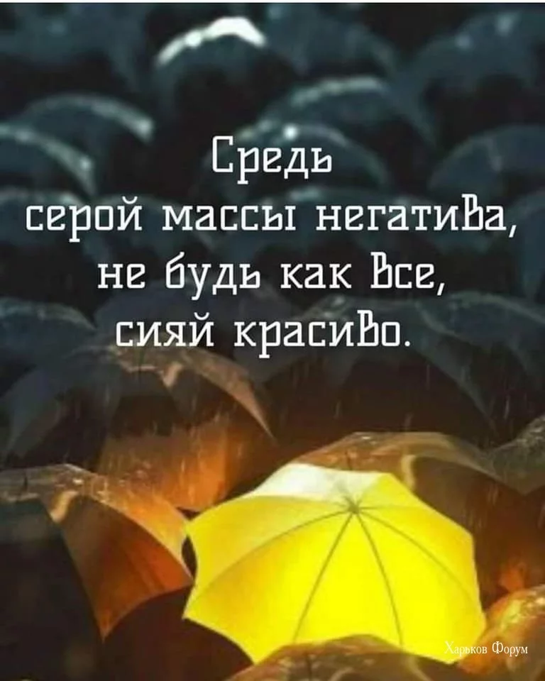 c23754d9b76875e060c8.webp