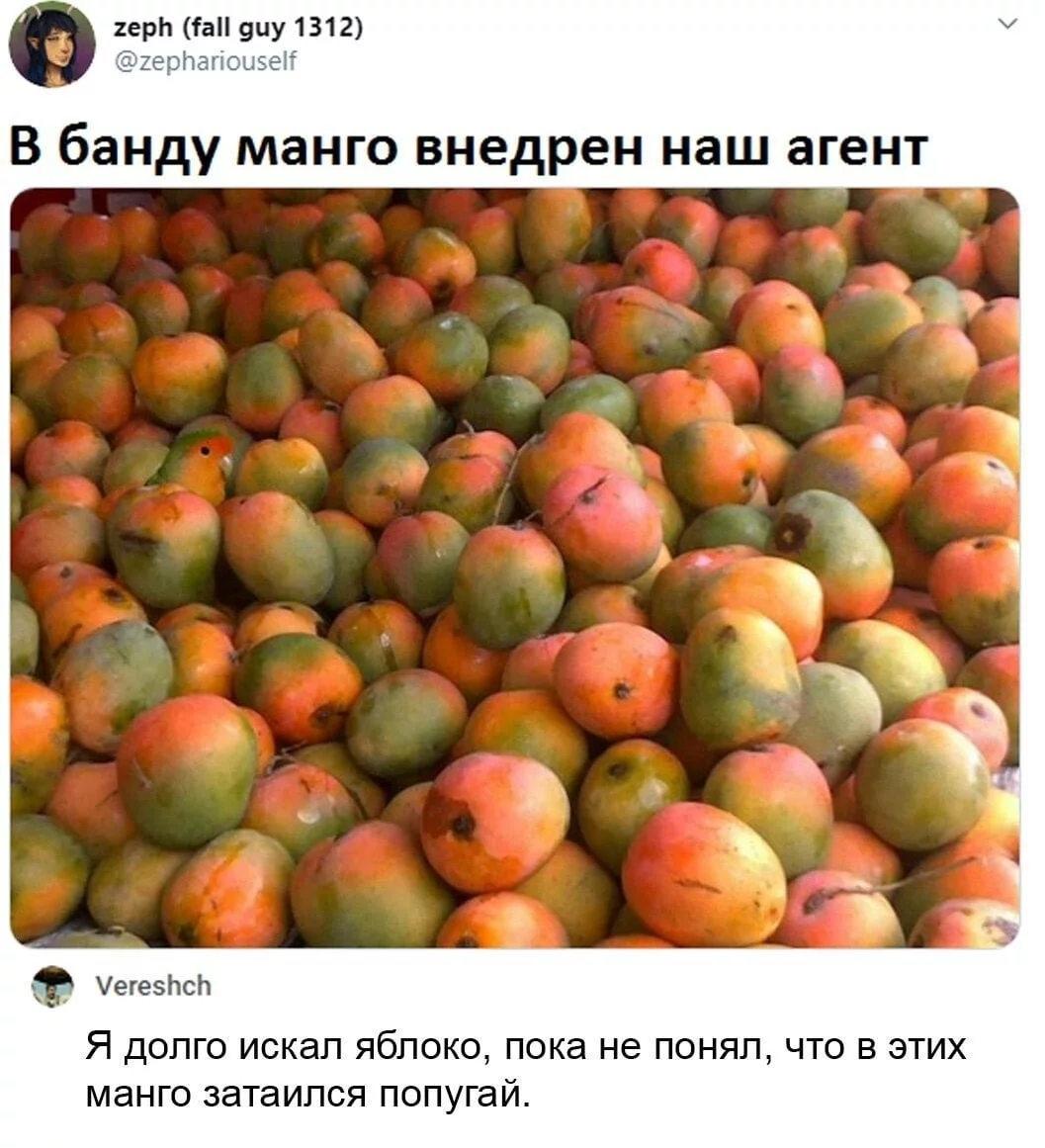 c2389b9e6489a31e66.webp